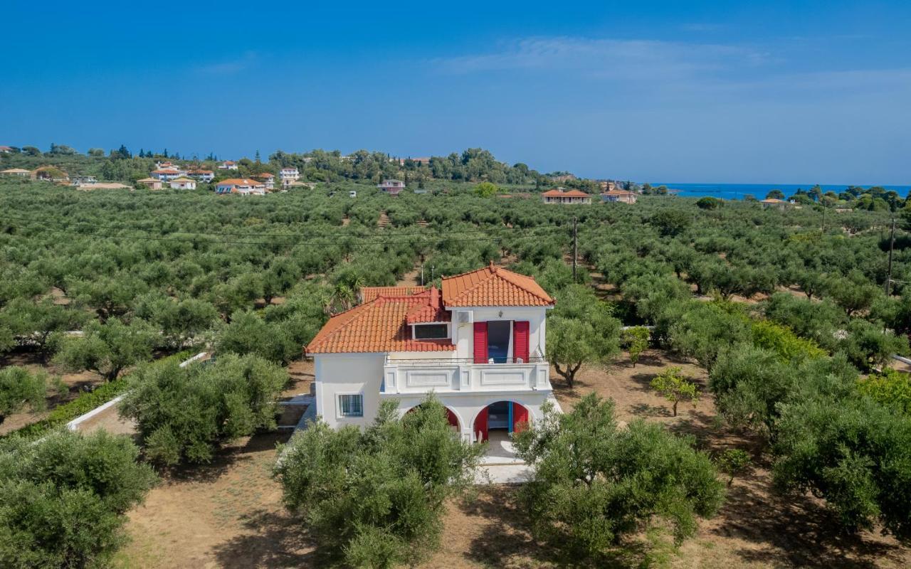Lenna'S Villas Zante Vasilikí Exteriér fotografie